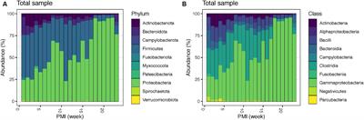 Decomposition in an extreme cold environment and associated microbiome—prediction model implications for the postmortem interval estimation